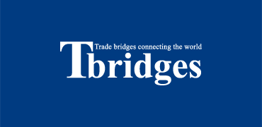 Tbridges Inc logo